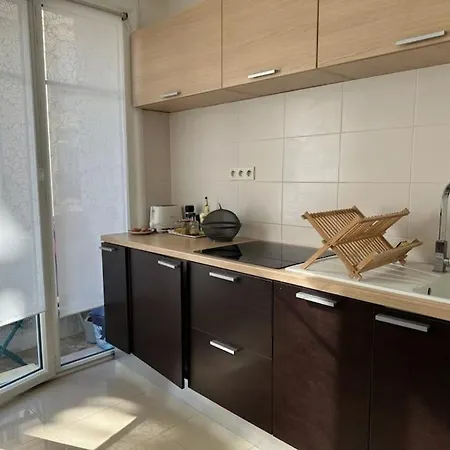 דירה 70m2 - Centre De ניס